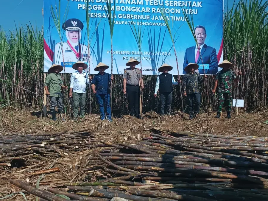 Pemkab, Kementan, PG Prajekan dan Petani Bondowoso Bersinergi Wujudkan Swasembada Gula 2026