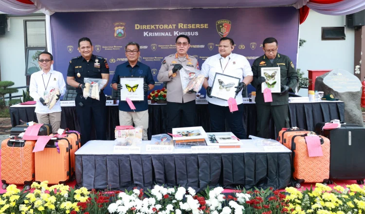 Dugaan Perdagangan Satwa Dilindungi hingga Benih Lobster Ilegal Terbongkar, Polda Jatim Amankan Empat Tersangka