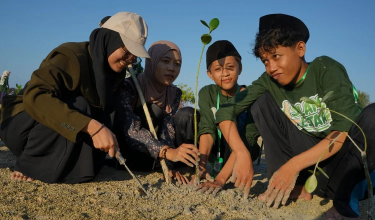 Kolaborasi Mahasiswa KKN, Pemuda dan SKK Migas-KEI Bersatu di Pagerungan, 2.500 Mangrove Sudah Tertanam