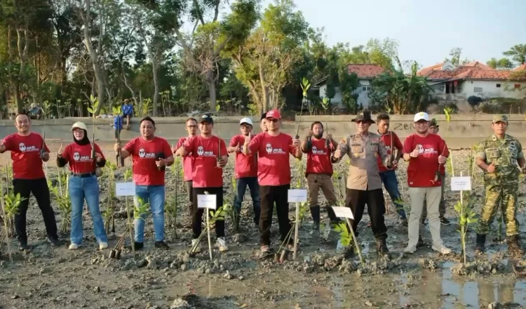 Dorong Pelestarian Kawasan Pesisir, JMSI Sumenep Tanam 1.500 Pohon Mangrove di Wisata Pantai Matahari