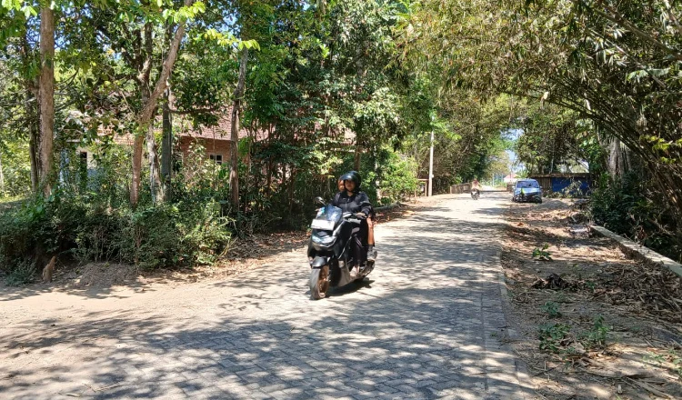 Jalan paving di Dusun Ringinagung, Desa Pesanggaran, Kecamatan Pesanggaran.