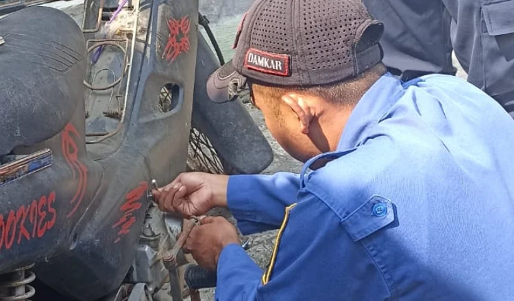 Damkar Jember Evakuasi Kobra Jawa dari Kerangka Motor, Proses Penanganan Berlangsung 25 Menit